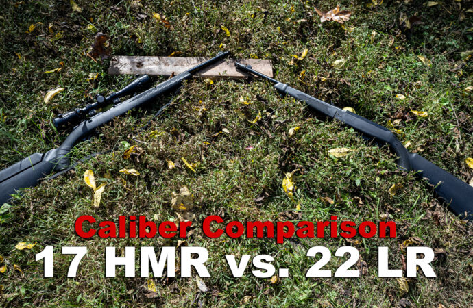 17 HMR vs 22 LR