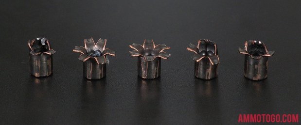 Barnes Bullets 80 Grain Solid Copper Hollow Point (SCHP) 380 Auto (ACP) ammo fired into ballistic gelatin