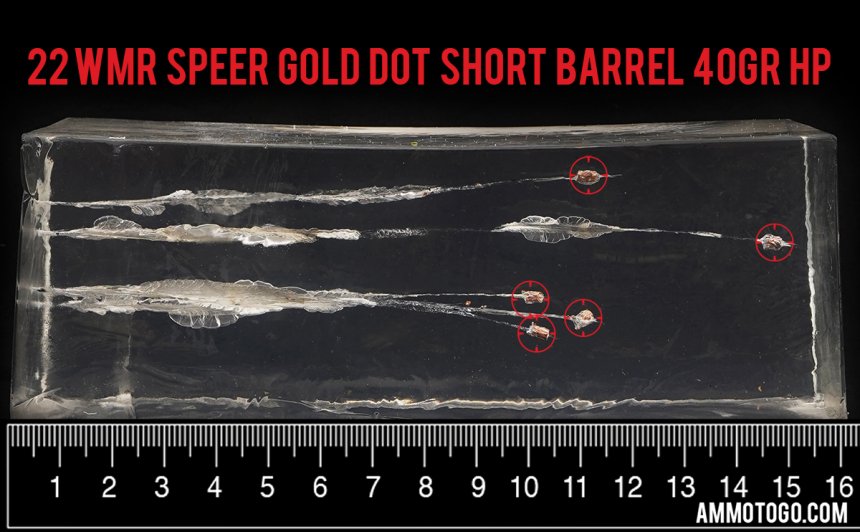 Speer 40 Grain 22 Magnum (WMR) ammunition fired into ballistic gelatin