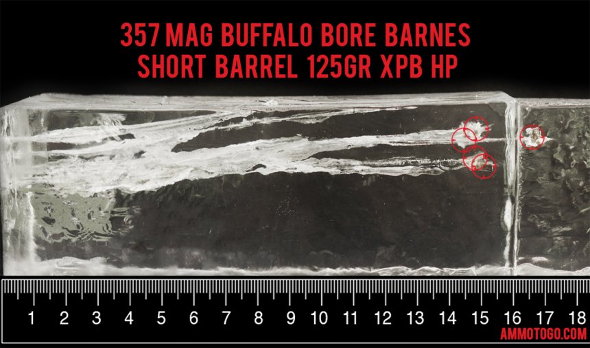 Buffalo Bore 125 Grain 357 Magnum ammunition fired into ballistic gelatin
