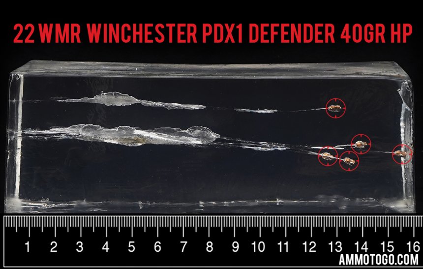 Winchester Ammunition 40 Grain 22 Magnum (WMR) ammunition fired into ballistic gelatin