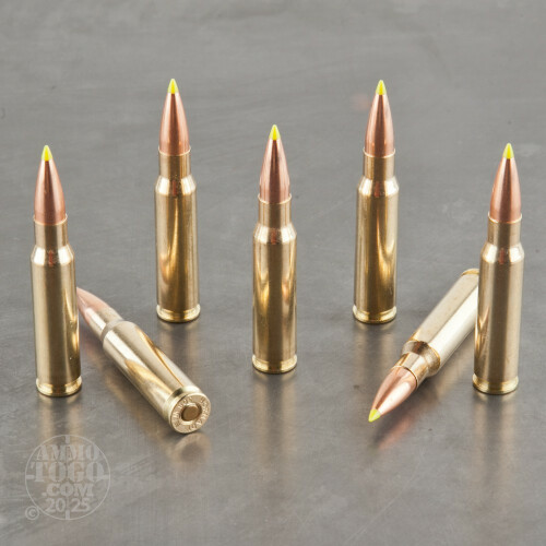【好評にて期間延長】 Winchester 308 (7.62X51) Z Grain 168 of Rounds 200 - Ammo 美容液