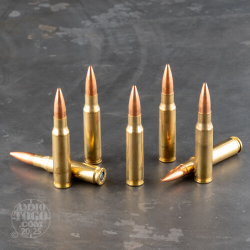 308 Winchester (7.62X51) Ammo - 200 Rounds of 175 Grain
