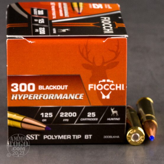 25rds – 300 AAC BLACKOUT Fiocchi Extrema 125gr. Hornady SST Ammo