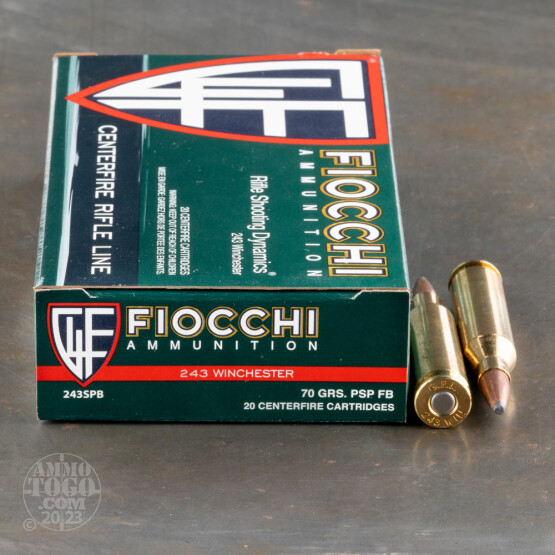 20rds – 243 Win Fiocchi 70gr. PSP Ammo