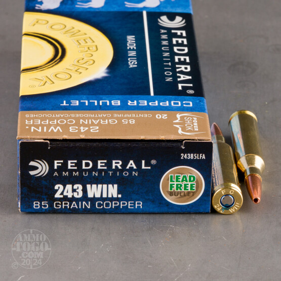 20rds – 243 Win Federal Power-Shok Copper 85gr. SCHP Ammo