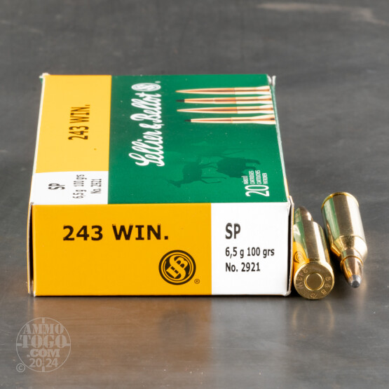 20rds – 243 Win Sellier & Bellot 100gr SP Ammo