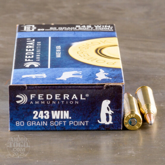 20rds - 243 Win. Federal Power-Shok 80gr. SP Ammo