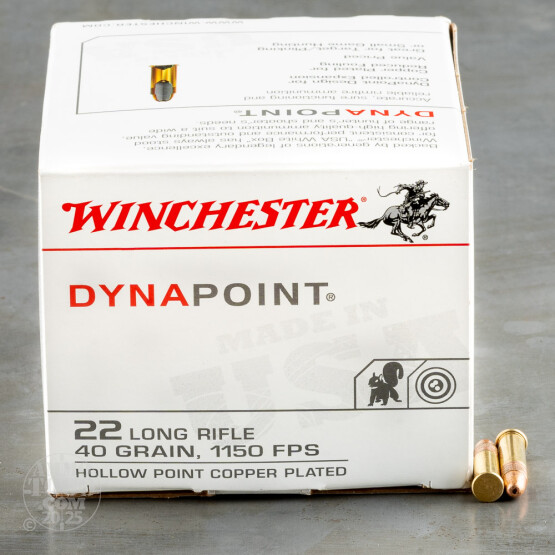 500rds – 22 LR Winchester Dynapoint 40gr. CPHP Ammo