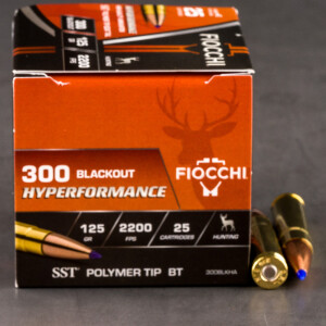 25rds – 300 AAC BLACKOUT Fiocchi Extrema 125gr. Hornady SST Ammo