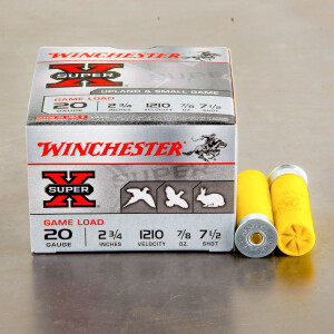 250rds – 20 Gauge Winchester Super-X 2-3/4" 7/8oz. #7.5 Shot Ammo