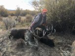 Wyoming moose hunt