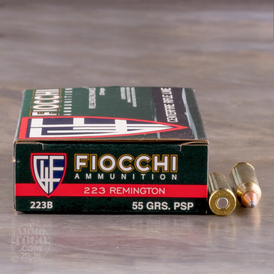20rds – 223 Rem Fiocchi 55gr. PSP Ammo