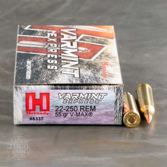 20rds - 22-250 Hornady 55gr. V-Max Polymer Tip Ammo