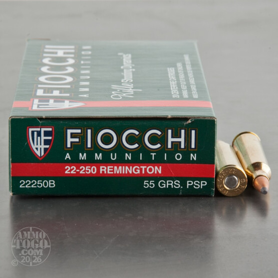 20rds – 22-250 Rem Fiocchi 55gr. PSP Ammo