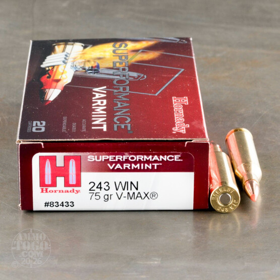 20rds - 243 Win Hornady Superformance Varmint 75gr. V-Max Ammo