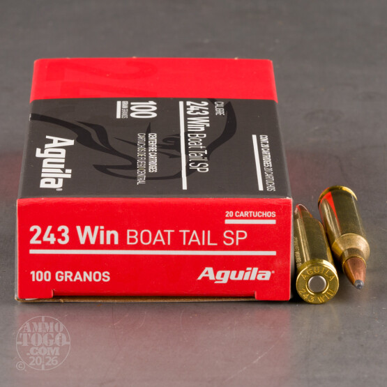 20rds – 243 Win Aguila 100gr. SPBT Ammo