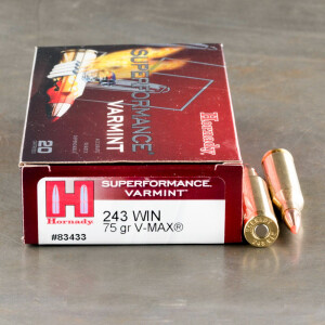 20rds - 243 Win Hornady Superformance Varmint 75gr. V-Max Ammo