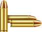 22 Long Rifle ammo